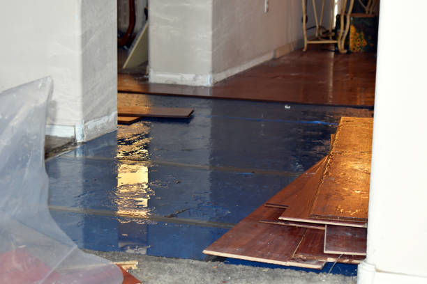 Professional Sewage Cleanup technician working in Louisville, IL